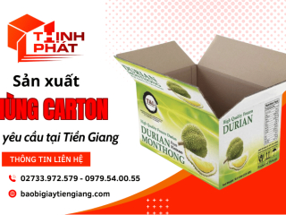Công ty sản xuất thùng carton theo yêu cầu tại Tiền Giang – Sản phẩm chất lượng, giá tốt