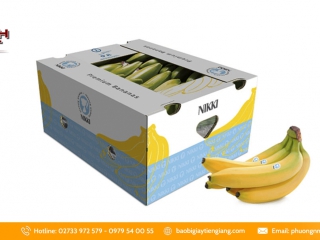 Xưởng sản xuất thùng carton đựng chuối tại Tiền Giang