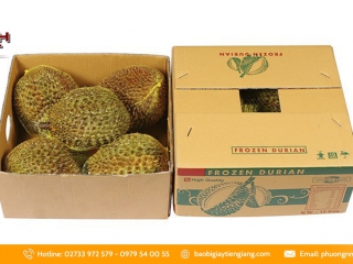 Xưởng sản xuất thùng carton đựng sầu riêng tại Tiền Giang