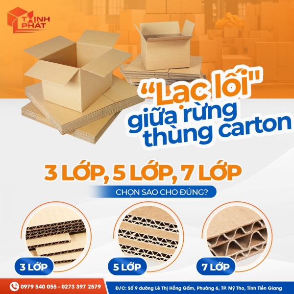 Giới Thiệu - Thịnh Phát